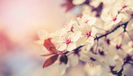 実際に心肺蘇生を行った体験から伝えたいこと